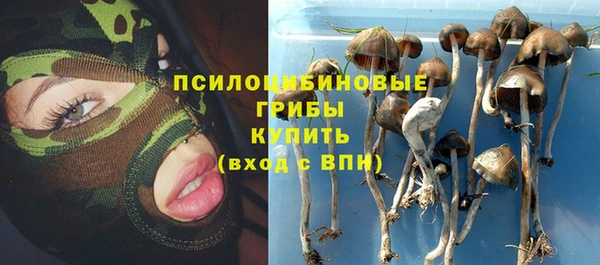 спиды Белокуриха